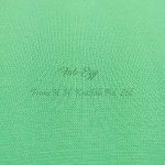 086S C/GREEN LYCRA RIB